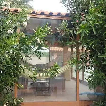 Afonso's House Alpendurada * Memorial