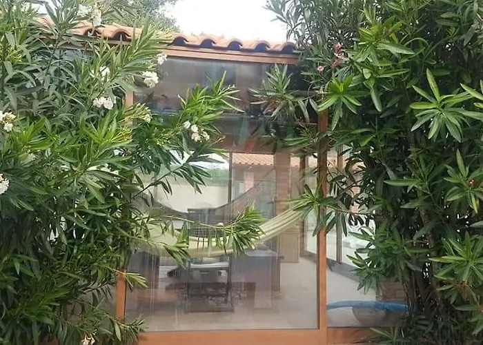 Afonso's House Alpendurada * Memorial